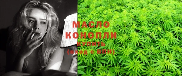 мдпв Пересвет