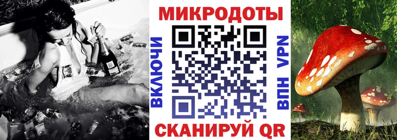 Псилоцибиновые грибы Psilocybe  Павловск 